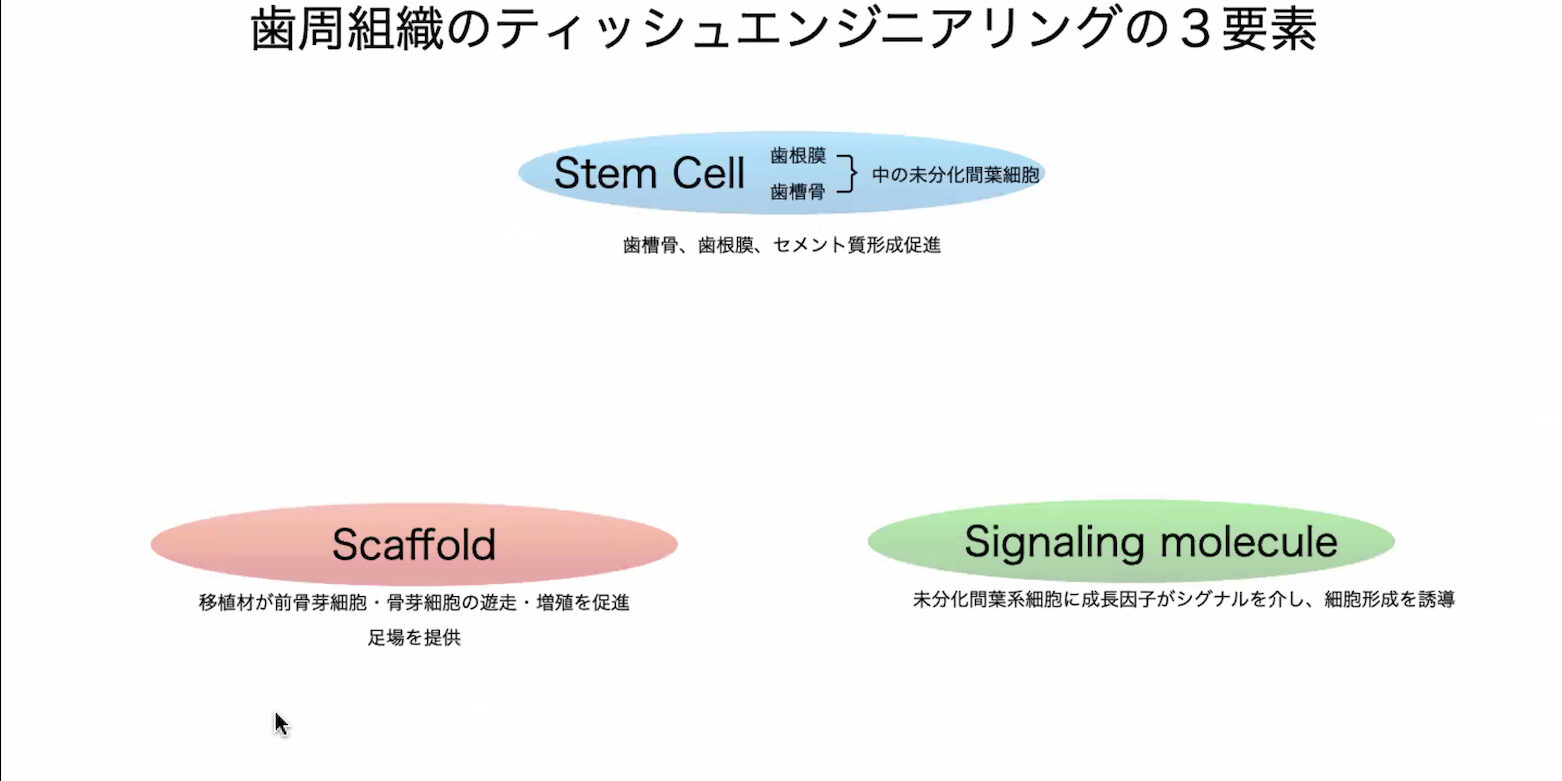 スクリーンショット 2023-05-23 16.12.00