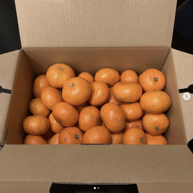 スクリーンショット 2024-01-16 22.23.30