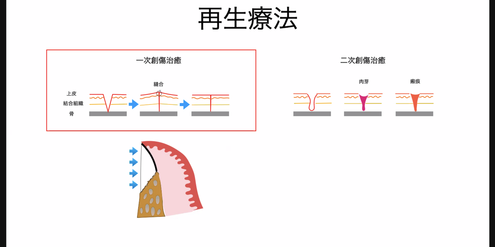スクリーンショット 2024-03-24 22.09.33